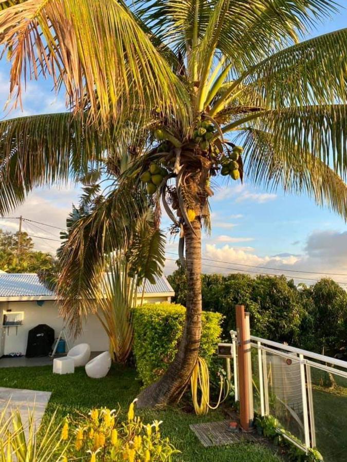 Villa Belle Vue, Chambre Bambous Saint Pierre Dış mekan fotoğraf